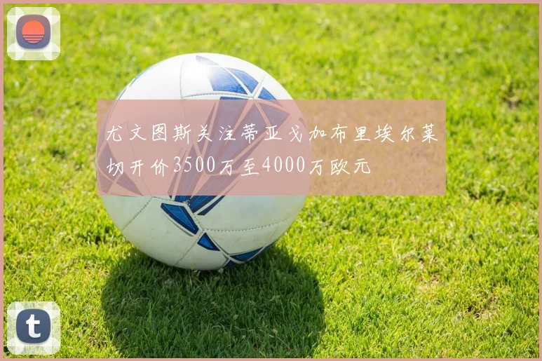 尤文图斯关注蒂亚戈加布里埃尔莱切开价3500万至4000万欧元